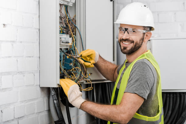 Best Local Electrician Companies  in Larimore, ND