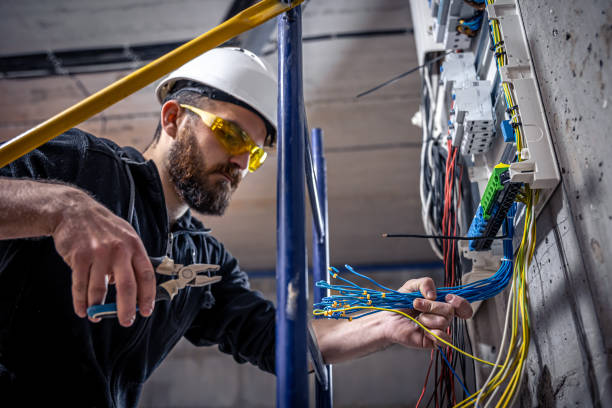 Best Ceiling Fan Installation Electrician  in Larimore, ND