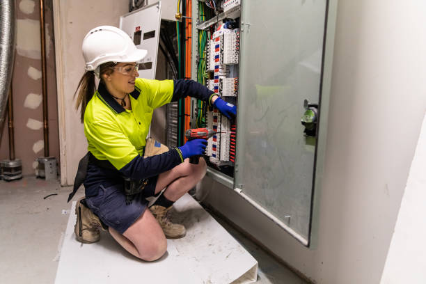 Best Electrical System Inspection  in Larimore, ND
