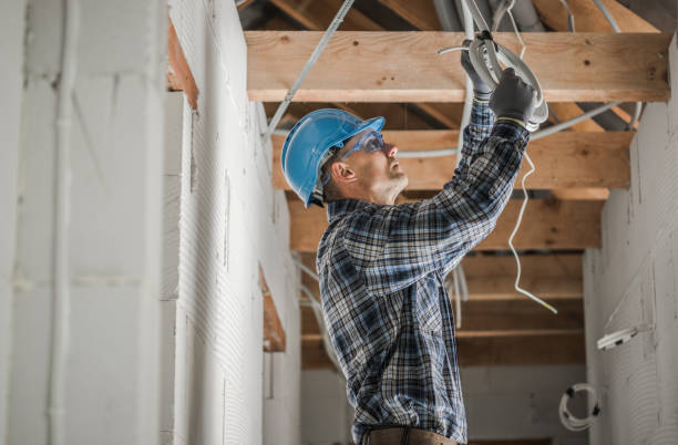 Best Generator Installation Services  in Larimore, ND
