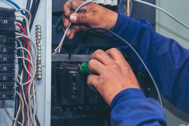 Best Home Electrical Repair  in Larimore, ND