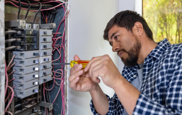 Best Generator Installation Services  in Larimore, ND